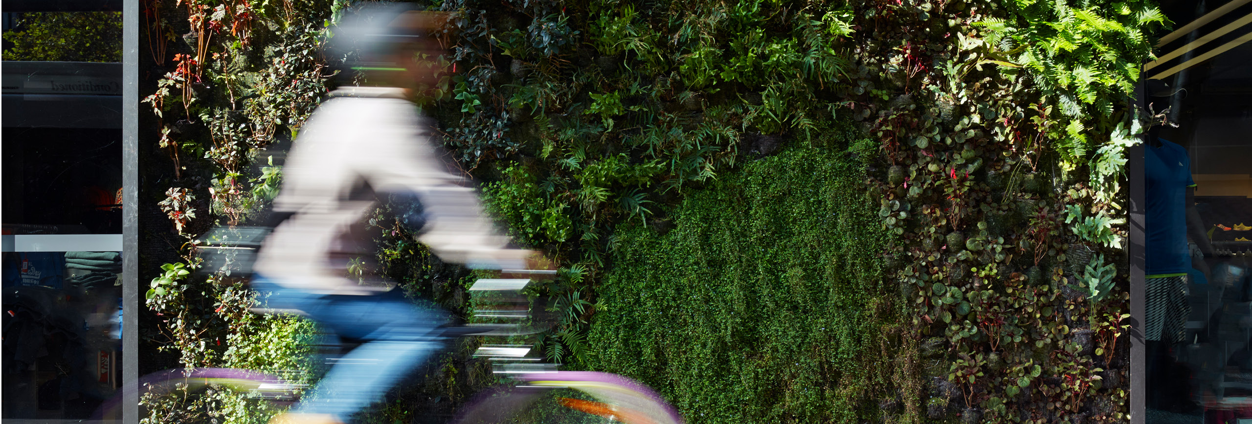 Cyclist going past appartments with living green wall