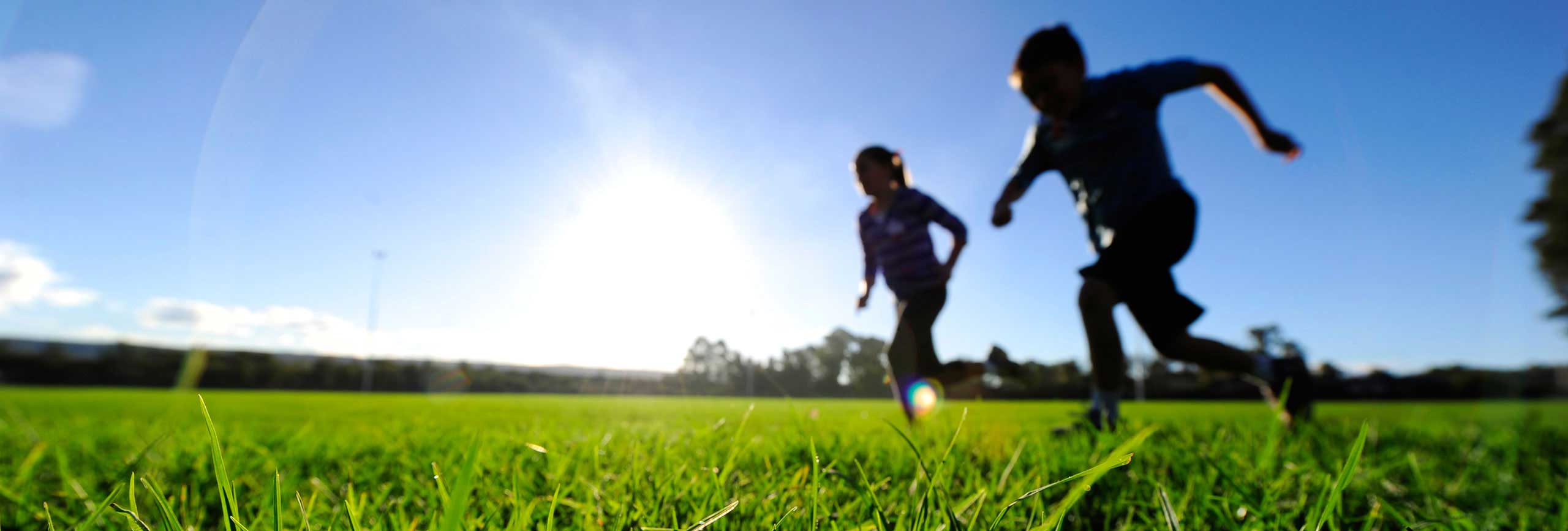 People running in sun on grass