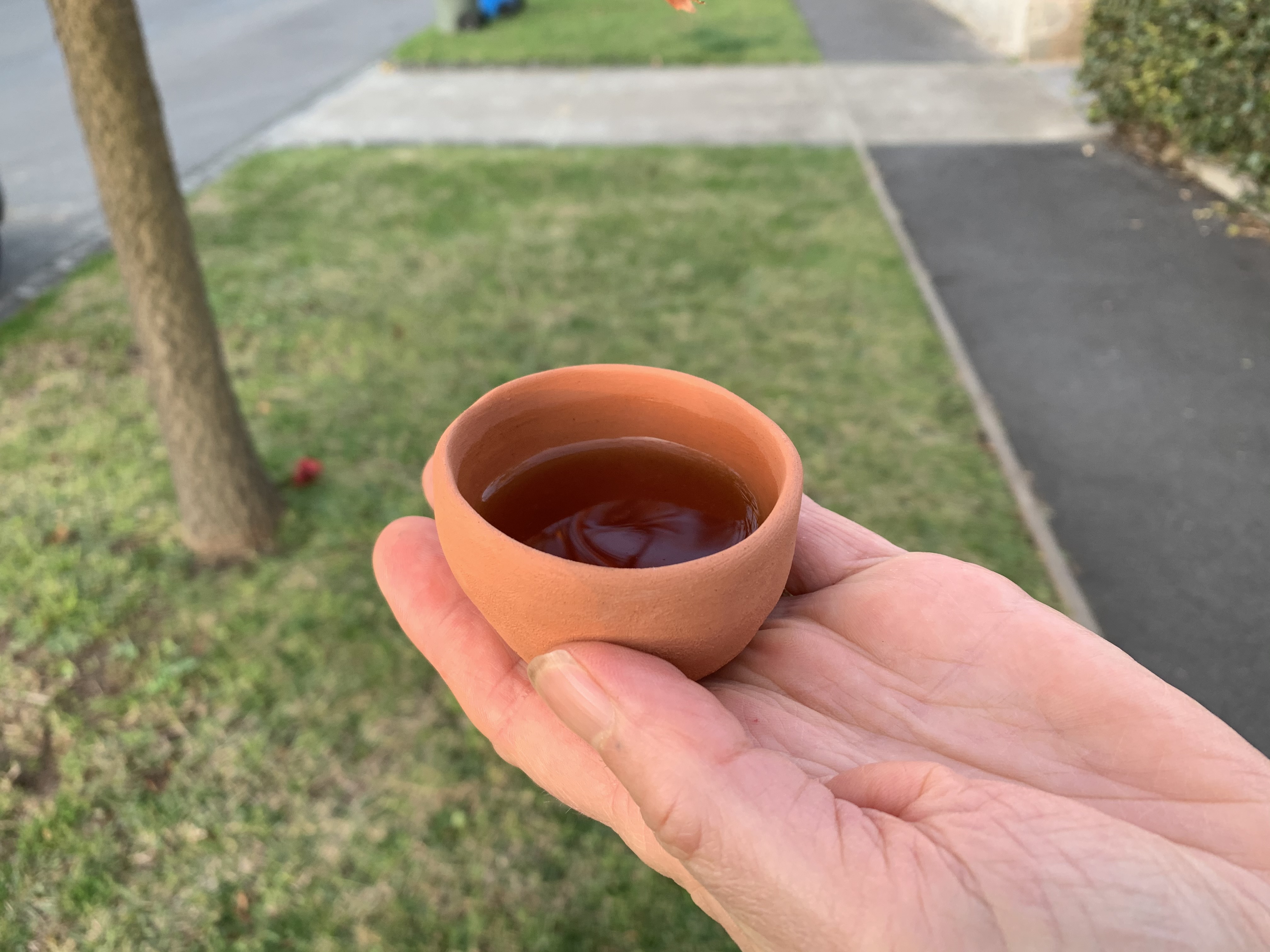 a cup across the fence promo