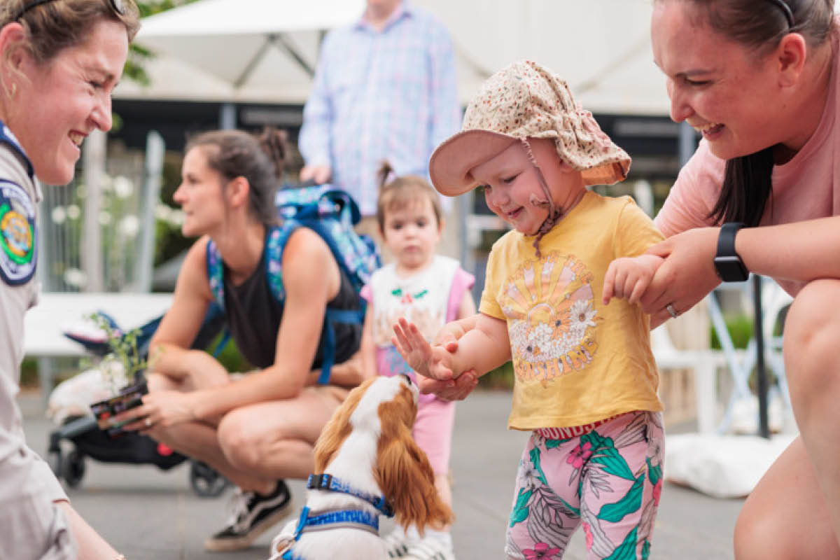 Locals enjoying Penrith's ROAM Festival