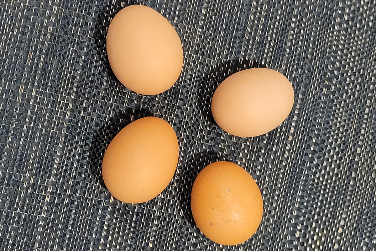 four eggs on a table