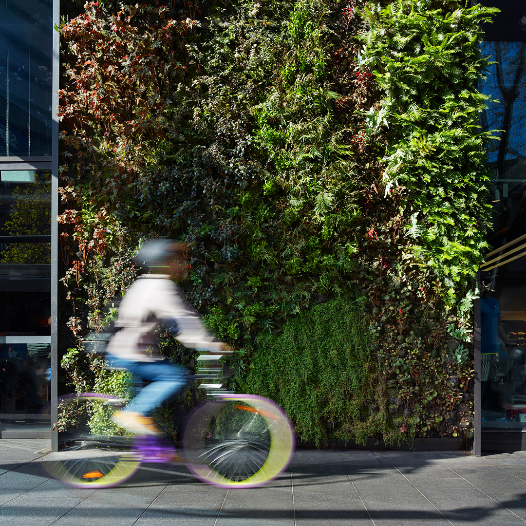 Cyclist riding past living green wall on city building