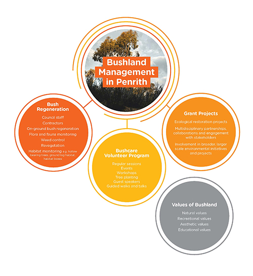 Bushland management diagram  Bush Regeneration points to: Council staff Contractors On-ground bush regeneration Flora and fauna monitoring Weed control Revegetation Habitat monitoring e.g. hollow bearing trees, ground log habitat, habitat boxes  Bushcare Volunteer Program points to: Regular sessions Events Workshops Tree planting Guest speakers Guided walks and talks  Grant Projects points to: Ecological restoration projects Multidisciplinary partnerships, collaborations and engagement with stakeholders Involvement in broader, larger scale environmental initiatives and projects  Values of Bushland points to: Natural values Recreational values Aesthetic values Educational values