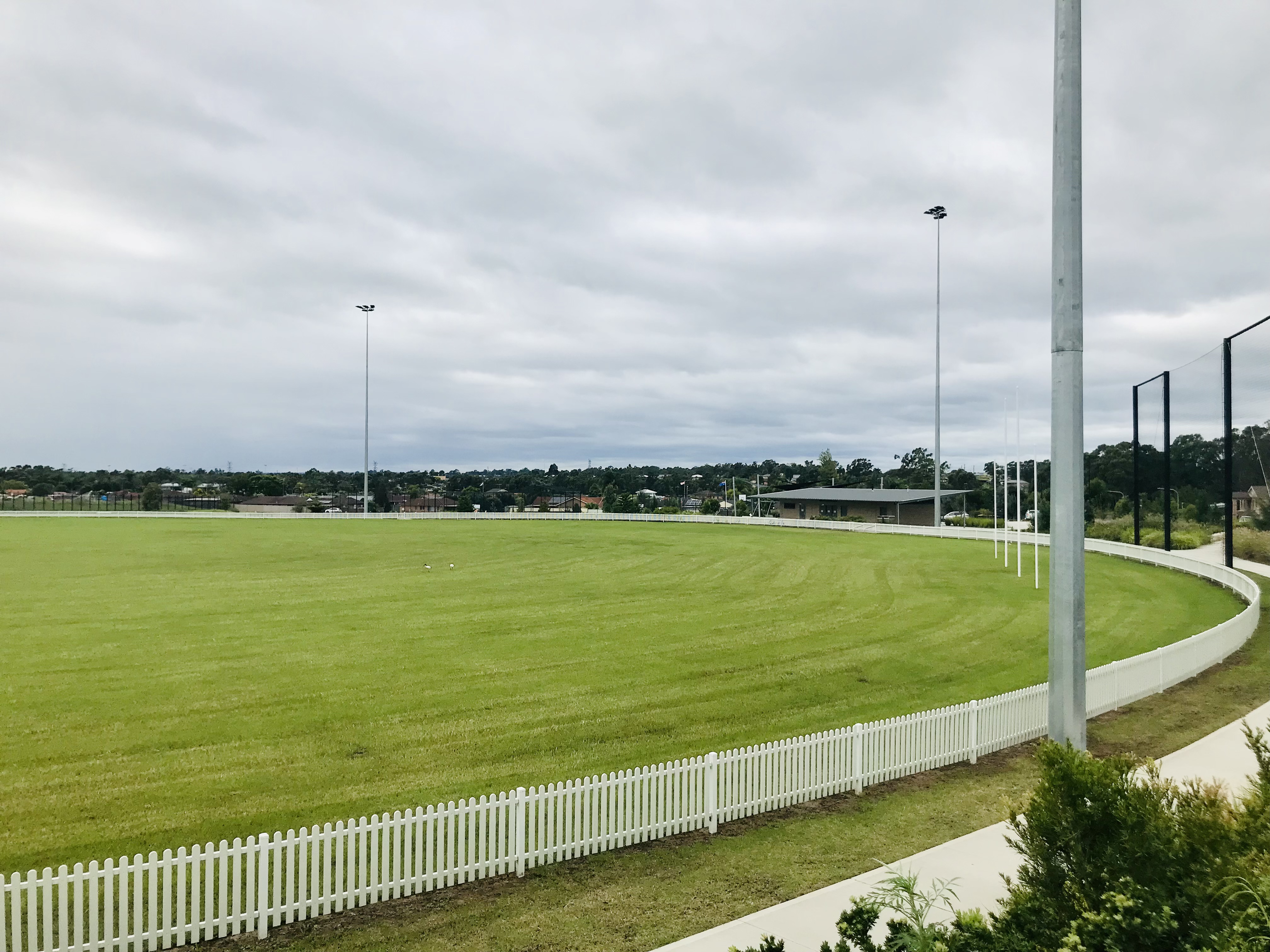 caddens oval after right