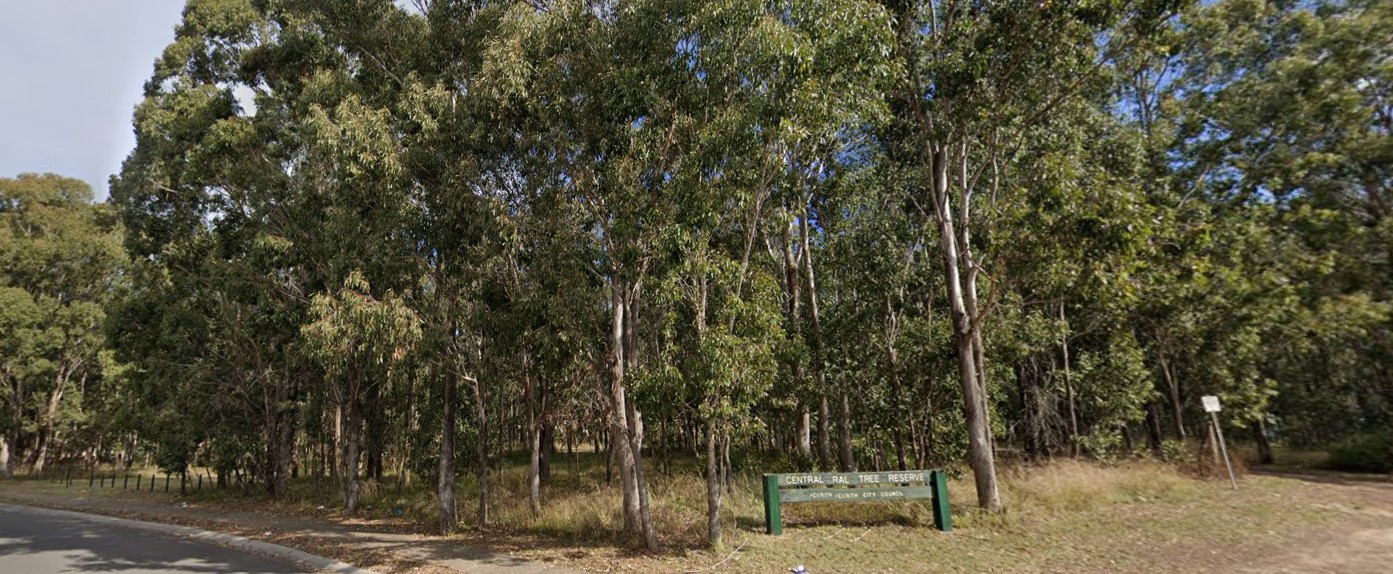central tree reserve 