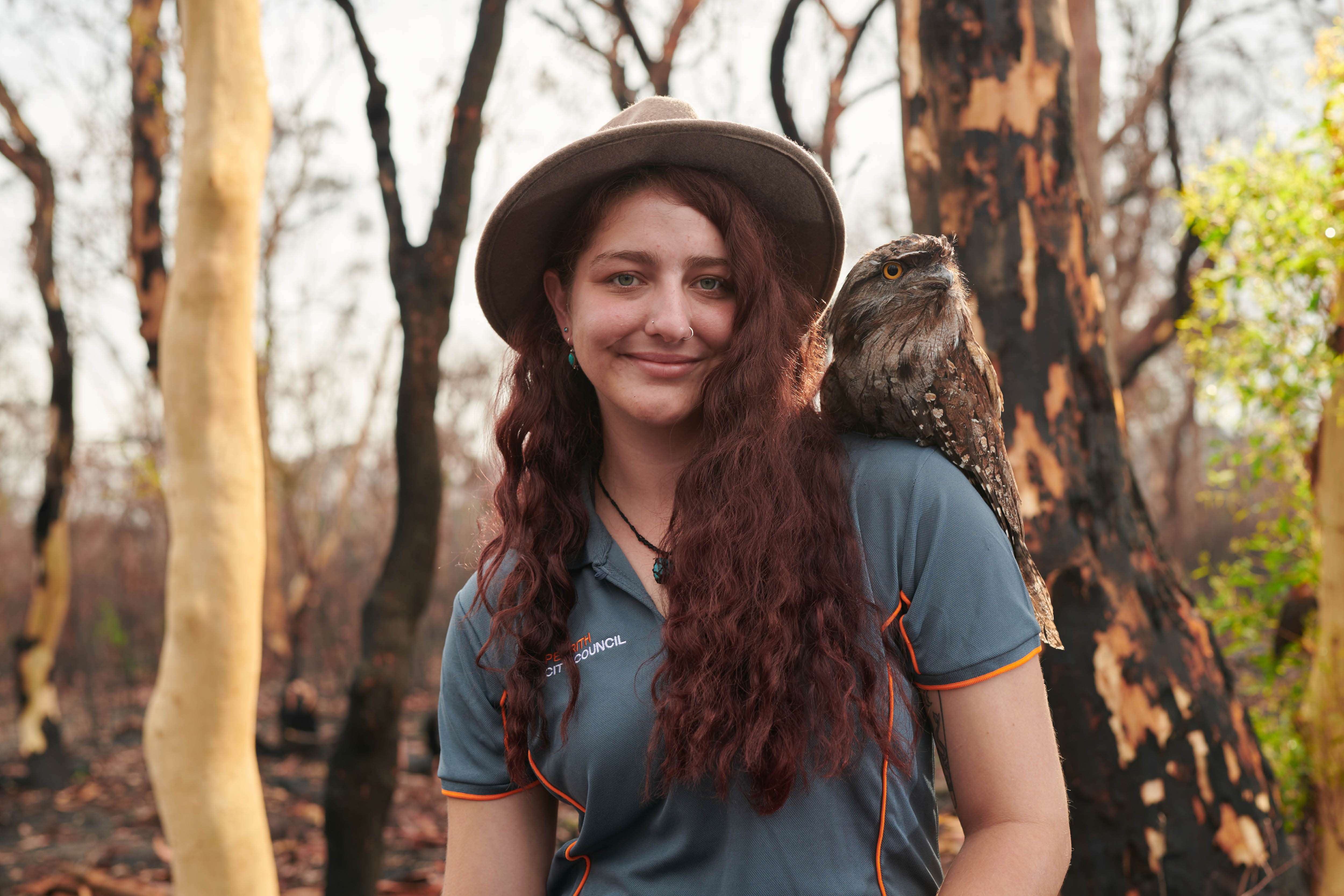 Ranger with tawny frogmouth