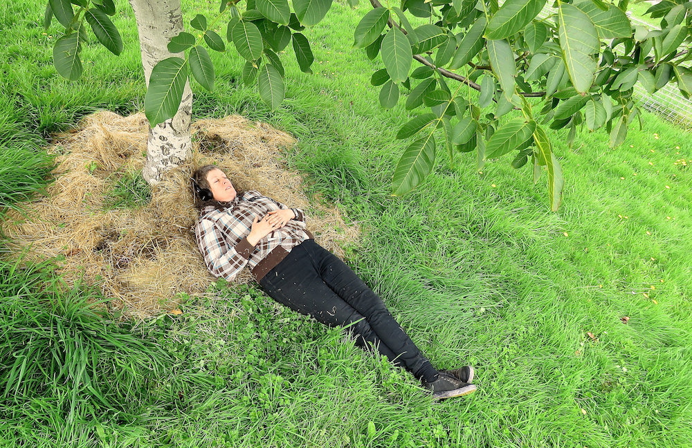 dear tree magnetic places 2020 project