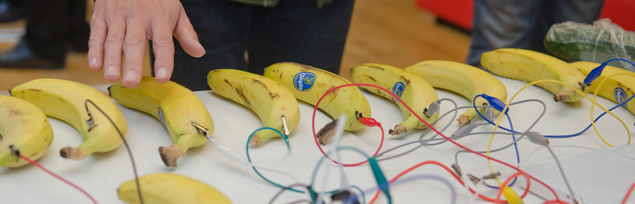 Bananas laid out on a table with wires.