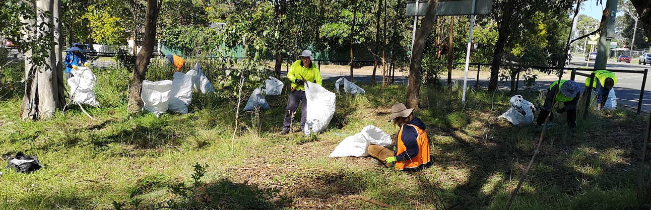 Bushcare regeneration activity at Peppermint Reserve.