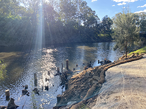 fish habitat final