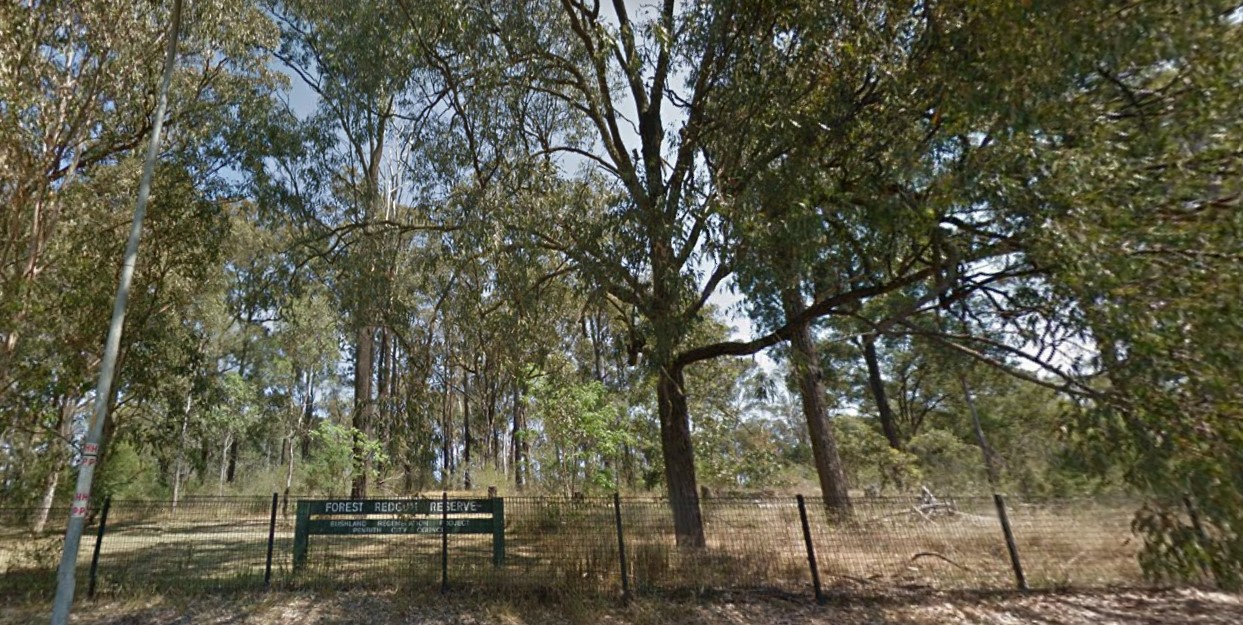 forest red gum reserve 