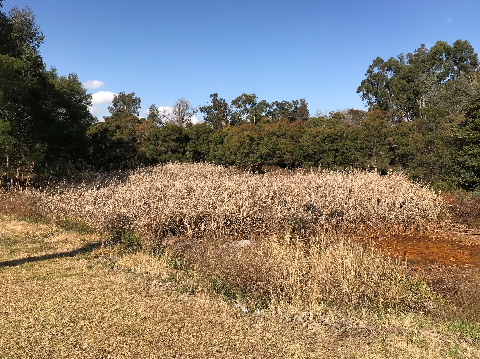 leonay wetlands