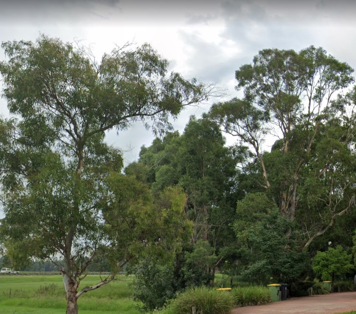 princess street wetland