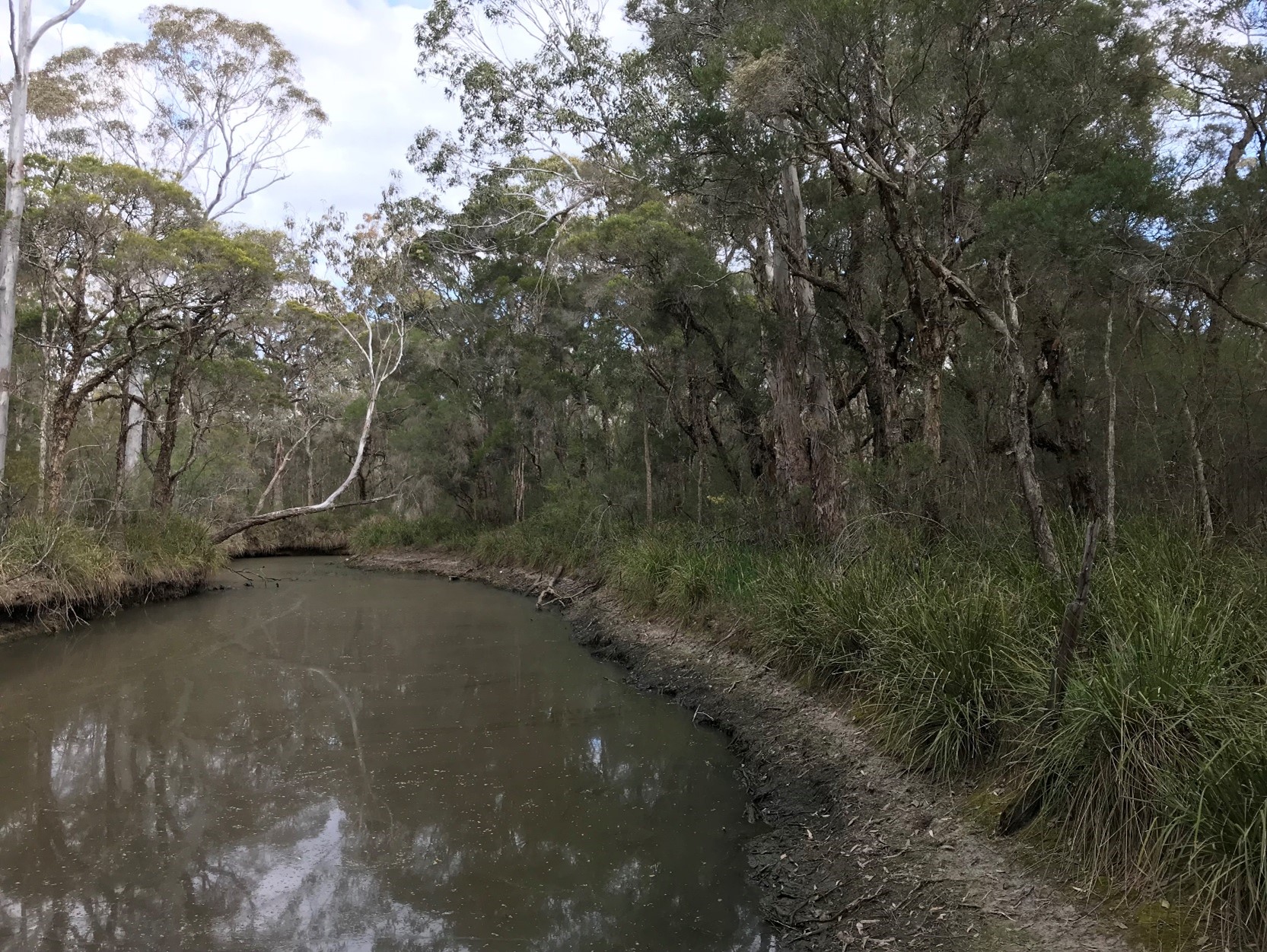 rickabys creek reserve