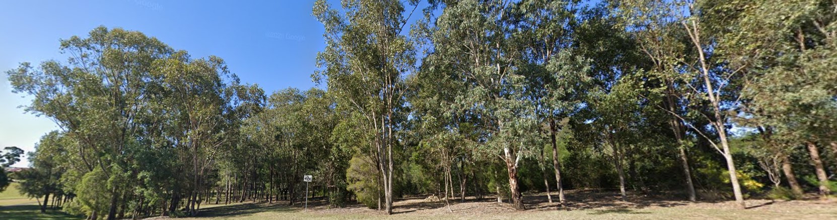 samuel foster reserve