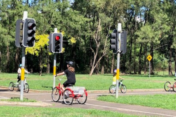 CARES Roundabout