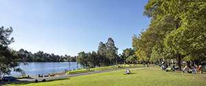 tench reserve