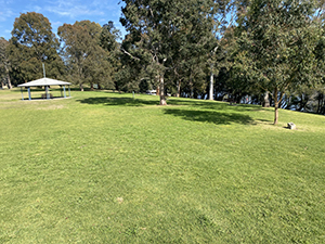 tench reserve south factory road 