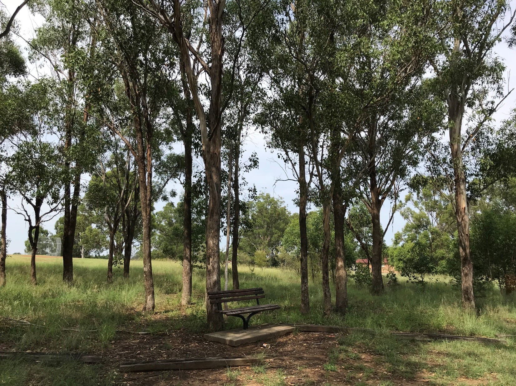 trinity drive reserve