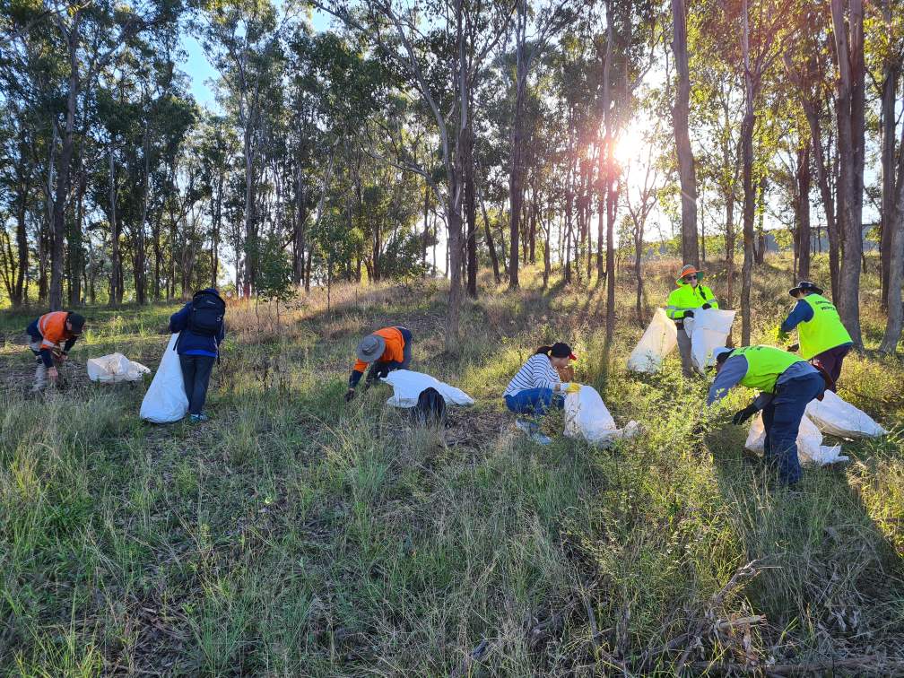 upcoming projects habitat restoration 1