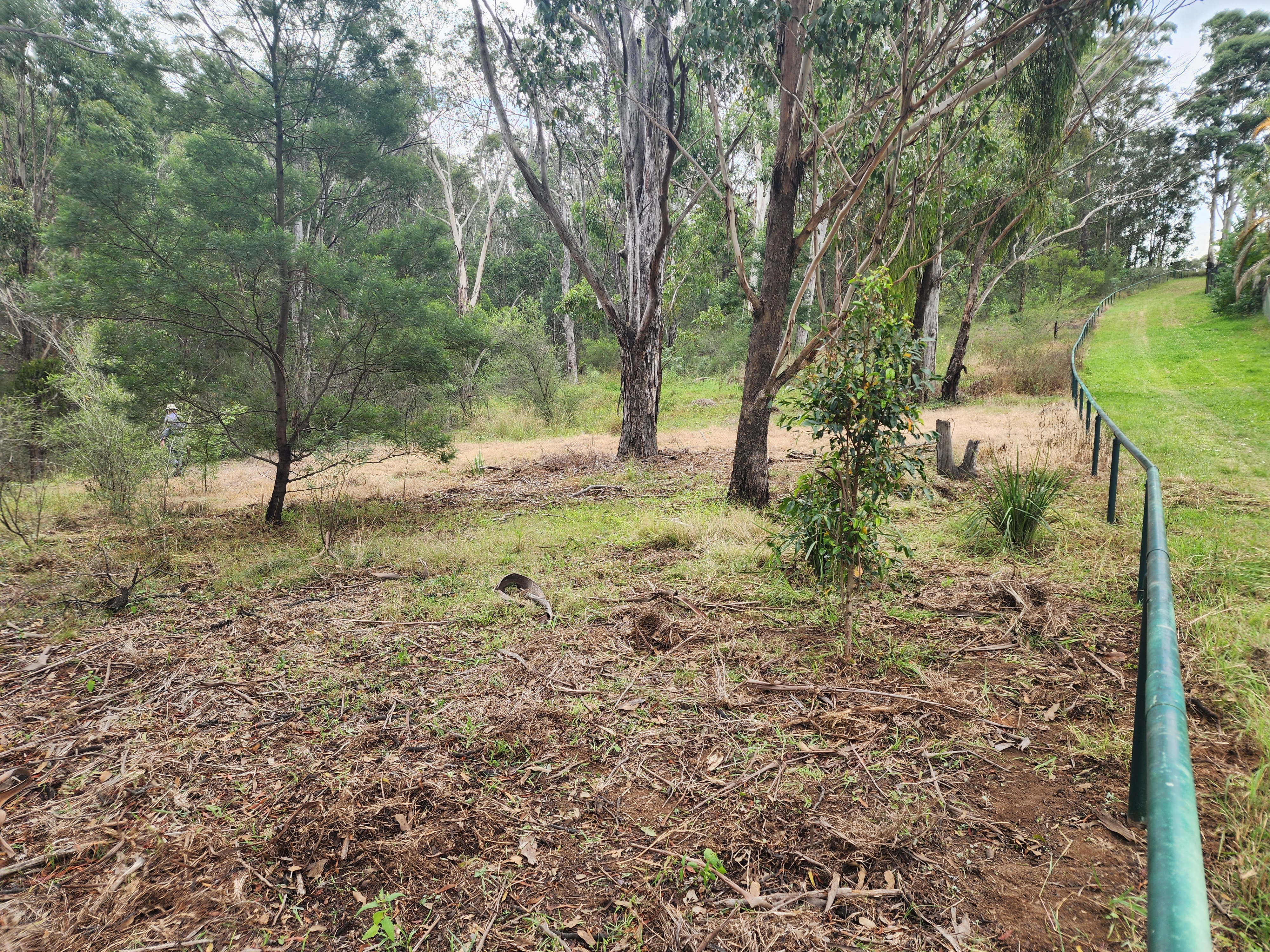 mountain view reserve 1