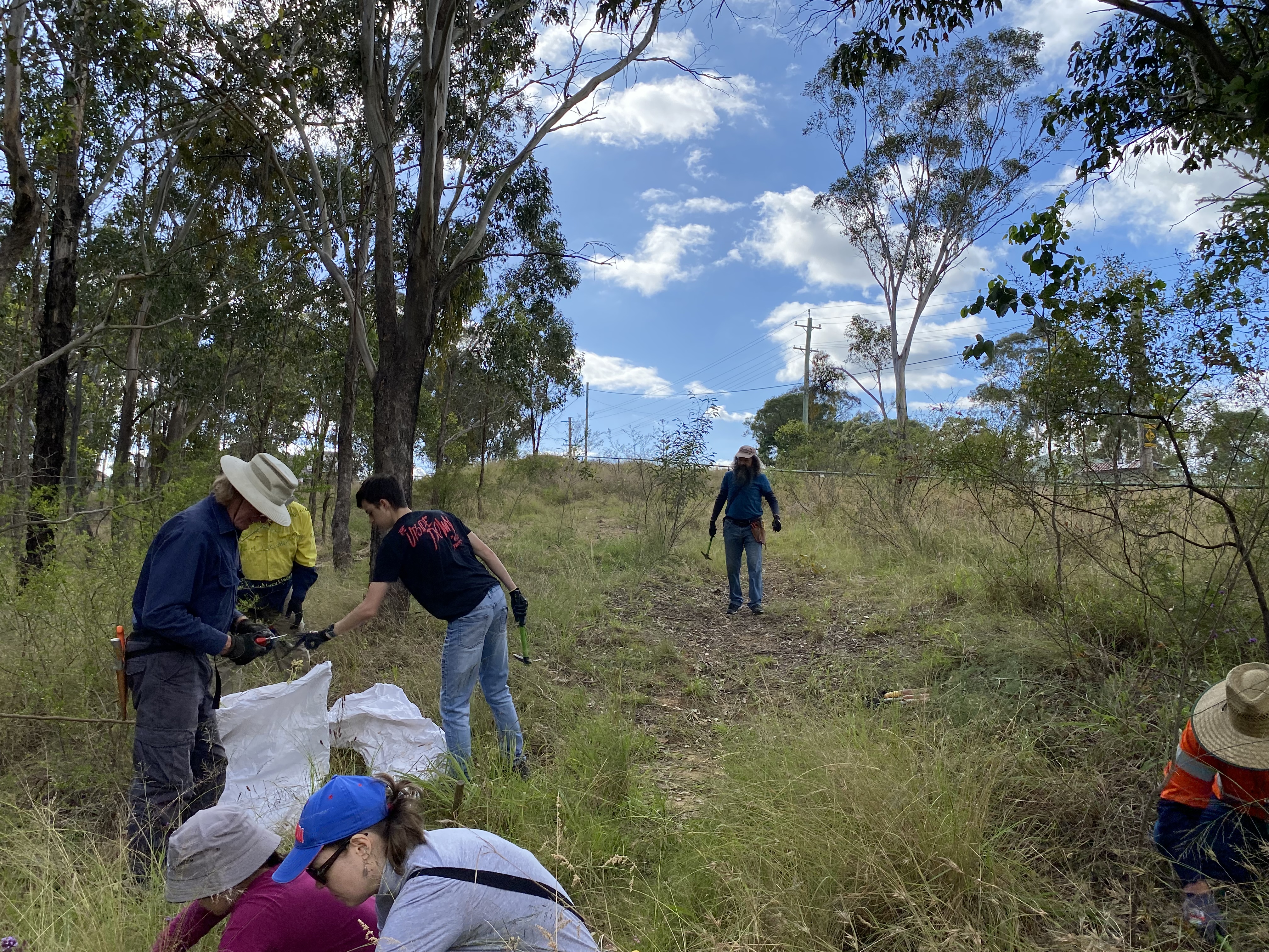 mountain view reserve 2