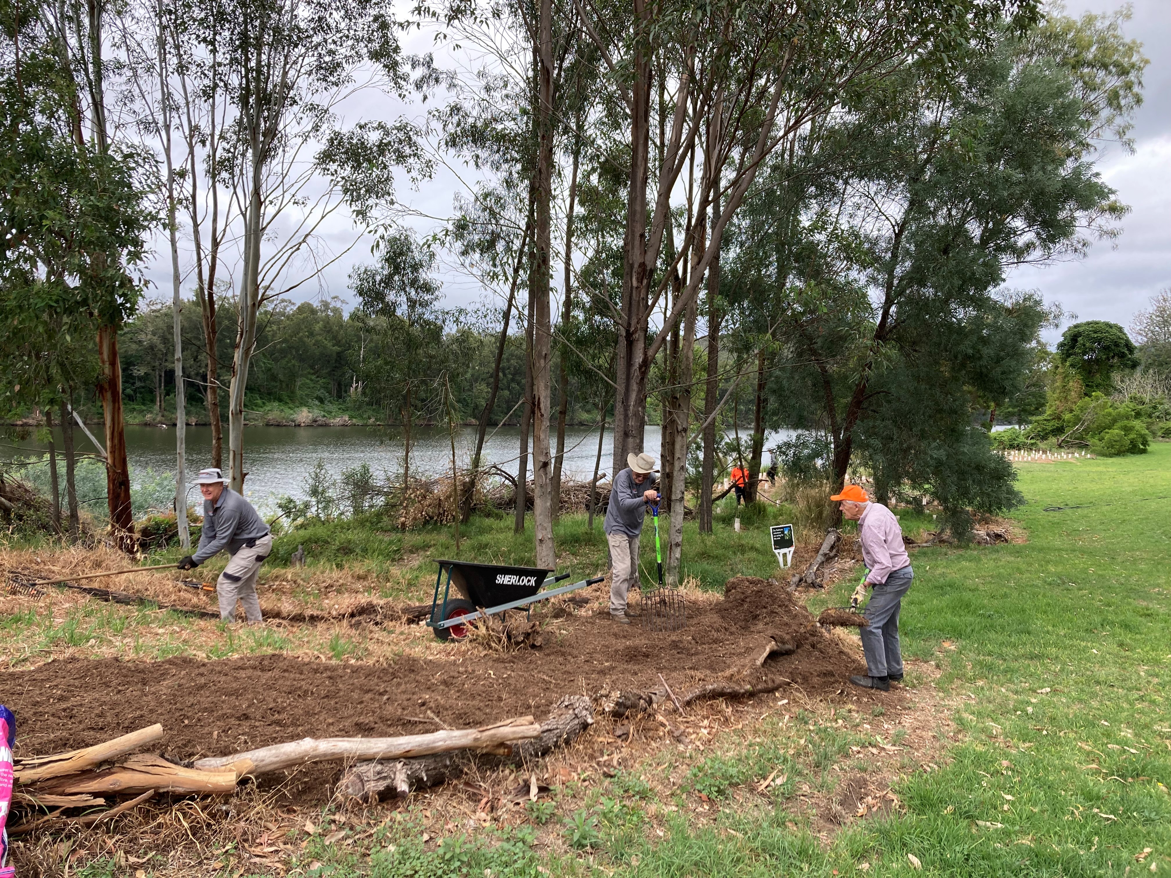 Volunteers working hard as they mulch an area along the riverbank. This area has a handful of grown trees.