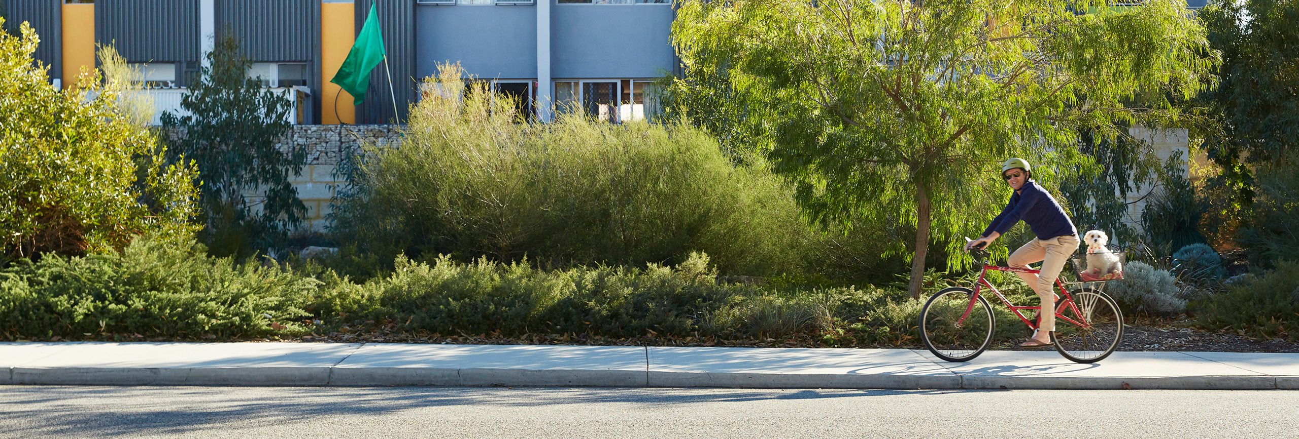 Man cycling with dog on his bike past apartment buildings and greenery