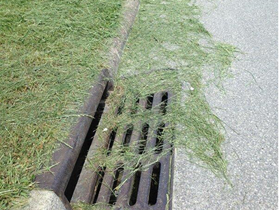 Grass clippings drain